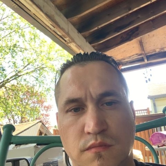 Meet your Posher, Tommy - Picture 1 of 1